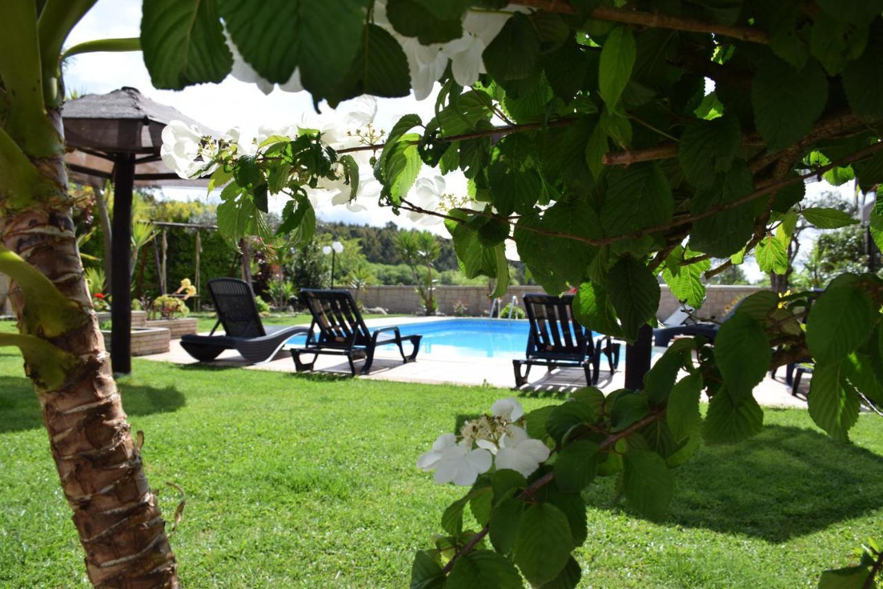 Alagoas4Family - Country House Арока Экстерьер фото